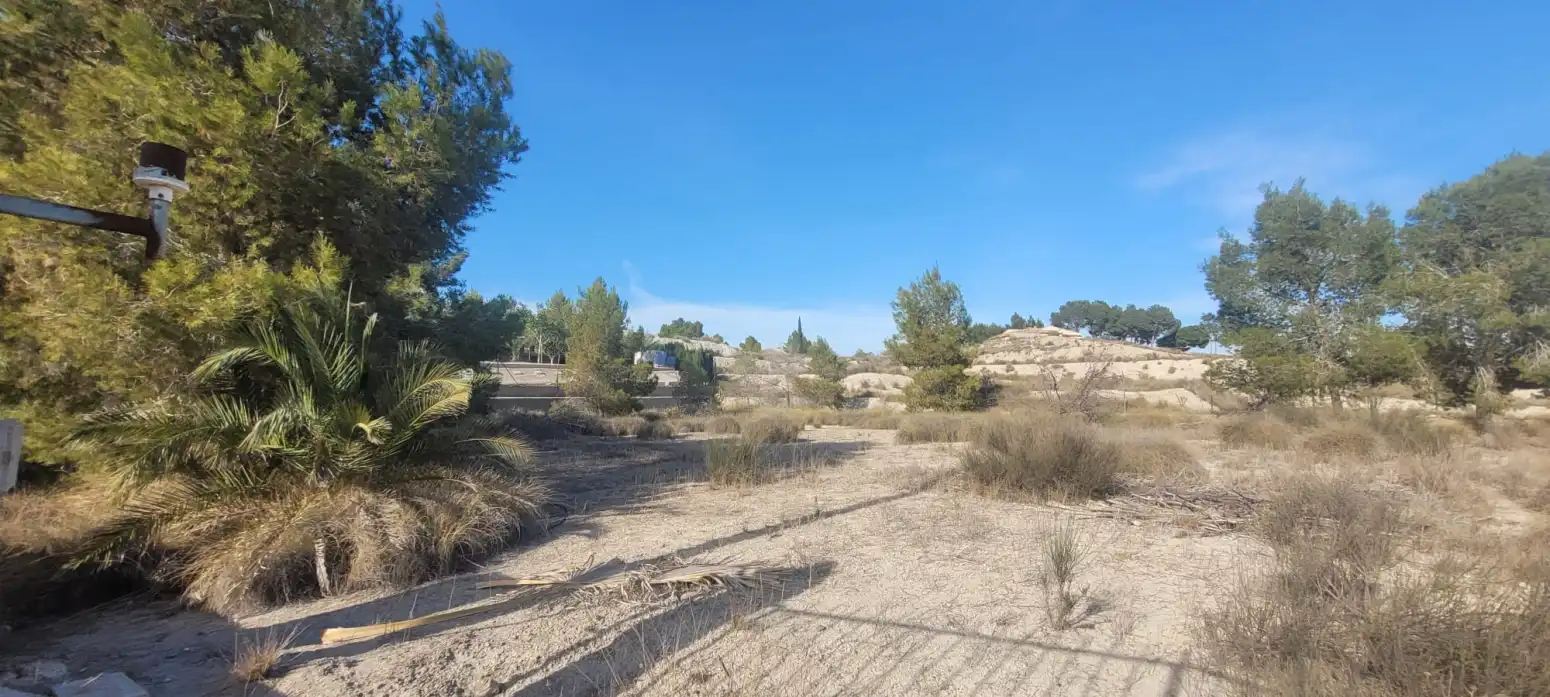 Land for sale in Molina de Segura