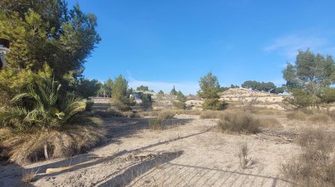 Photo 4 of Land for sale in Molina de Segura - Camino del Panderón, 31, Fátima - El Panderón, Molina de Segura