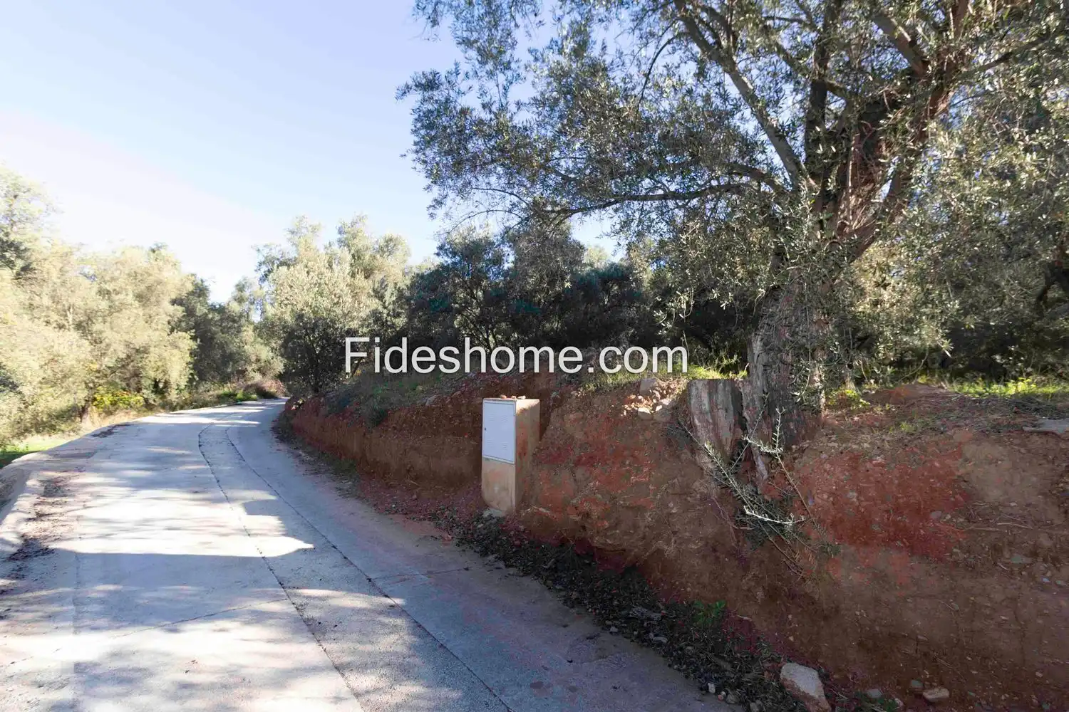 Terreno rustico in vendita a WCJV+WC8 Chite 0, imagen 18