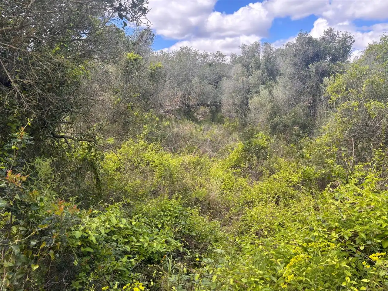 Residential land for sale in Fondo Masia D'En Perris, Urb. Mas Tapet, imagen 2