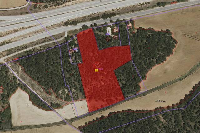 Terreno en Venta en JABAGA, CTRA. MADRID, en Fuentenava de Jábaga