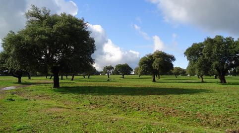 Foto 4 de Residencial en venta en Montejícar, Granada