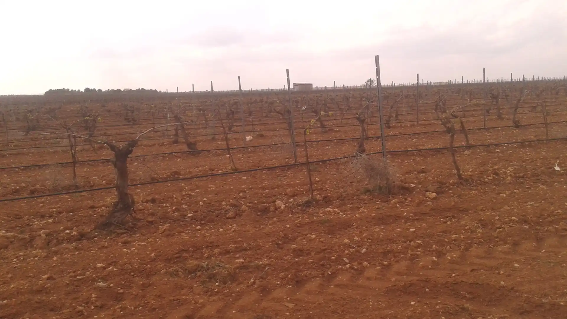 Terrenys i solars en venda a Las Mesas, imagen 4