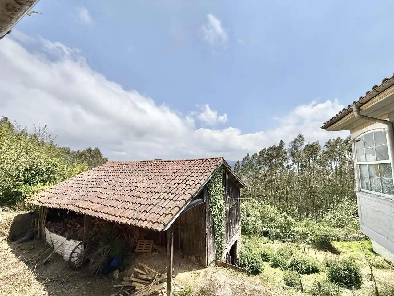 Exterior view of Houses for sale in Pravia  with Private garden, Terrace and Storage room