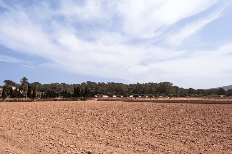 Land for sale in Chillarón de Cuenca
