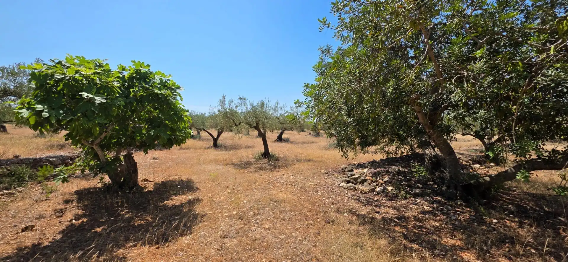 Maison rustique à vendre à L'Ametlla de Mar pueblo, imagen 24