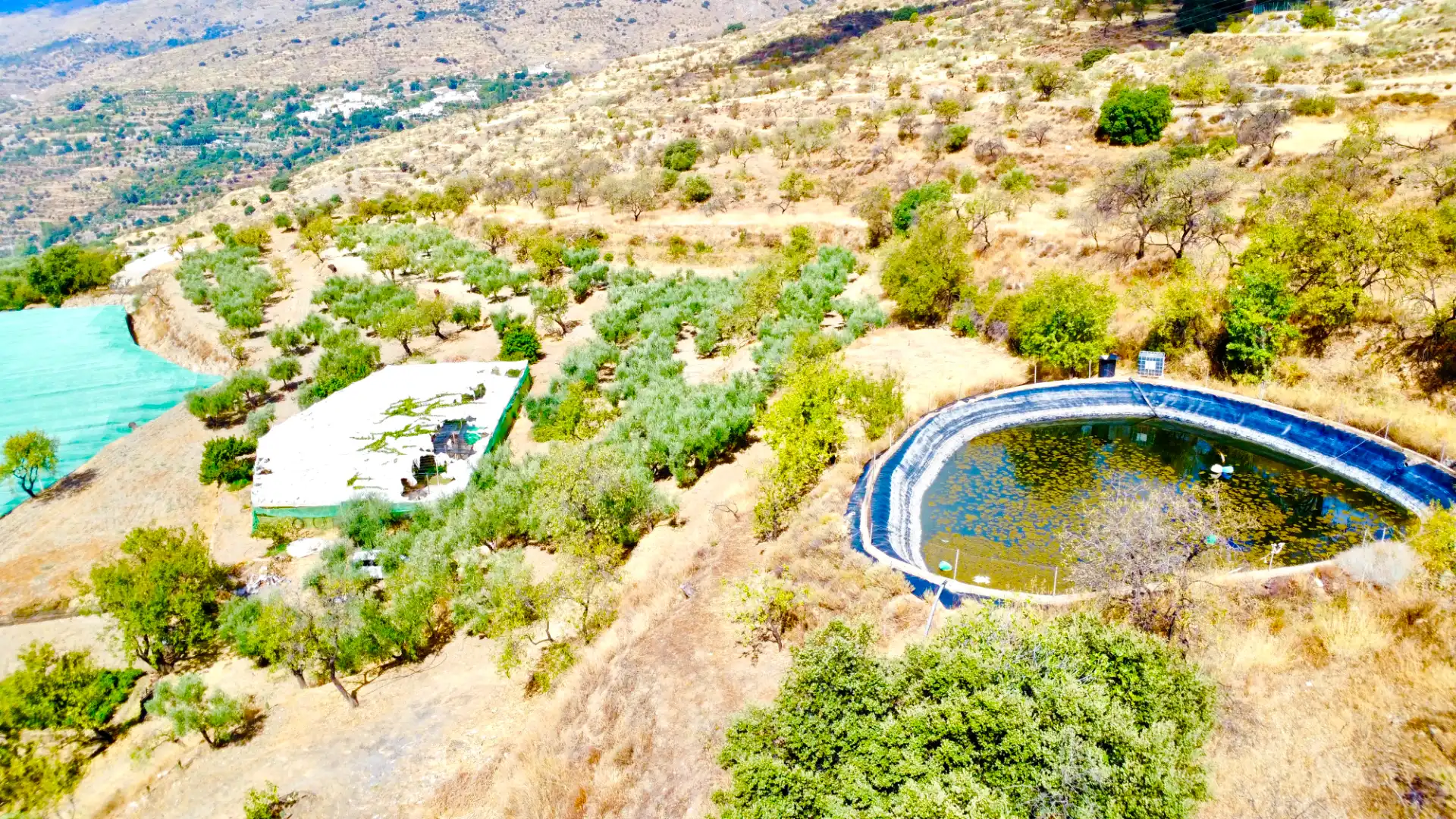 Terreno rustico in vendita a N/A, imagen 13
