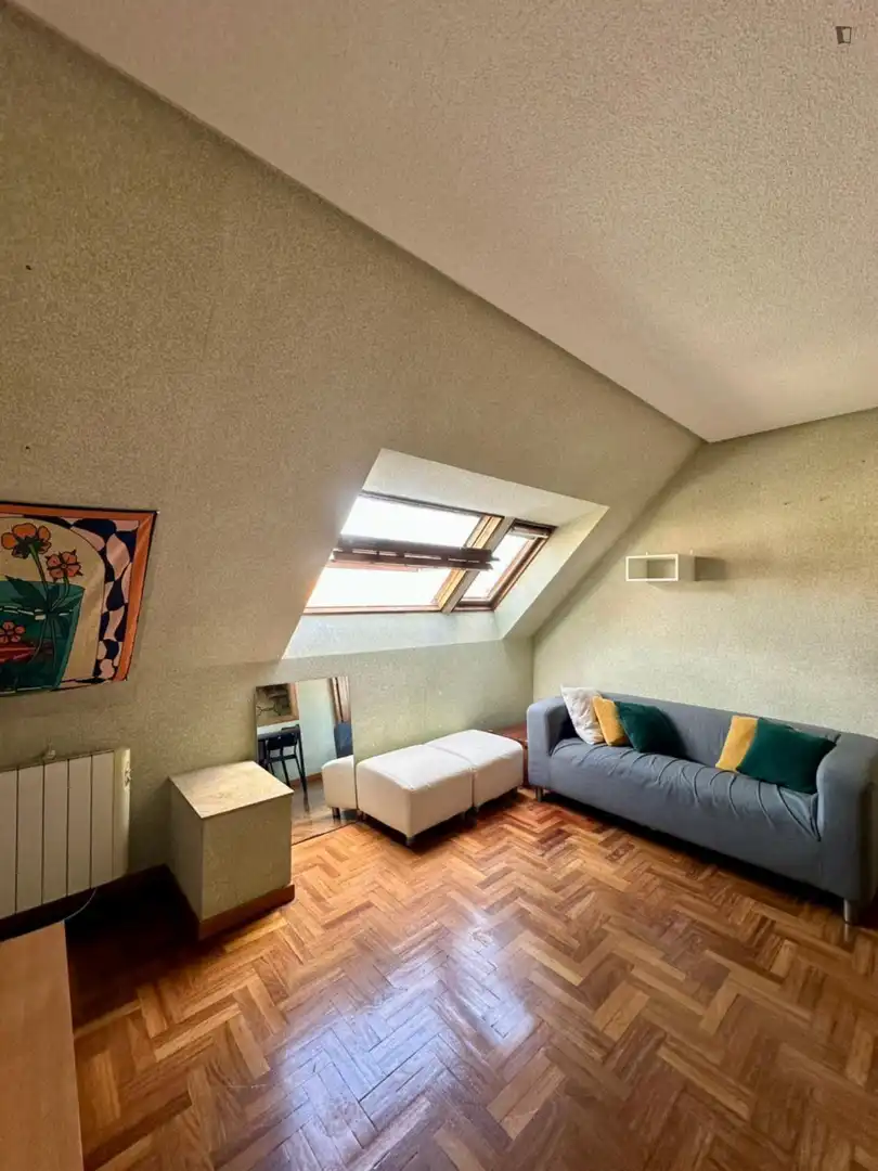 Sala d'estar de Apartament de lloguer en Madrid amb Calefacció, Moblat i Forn