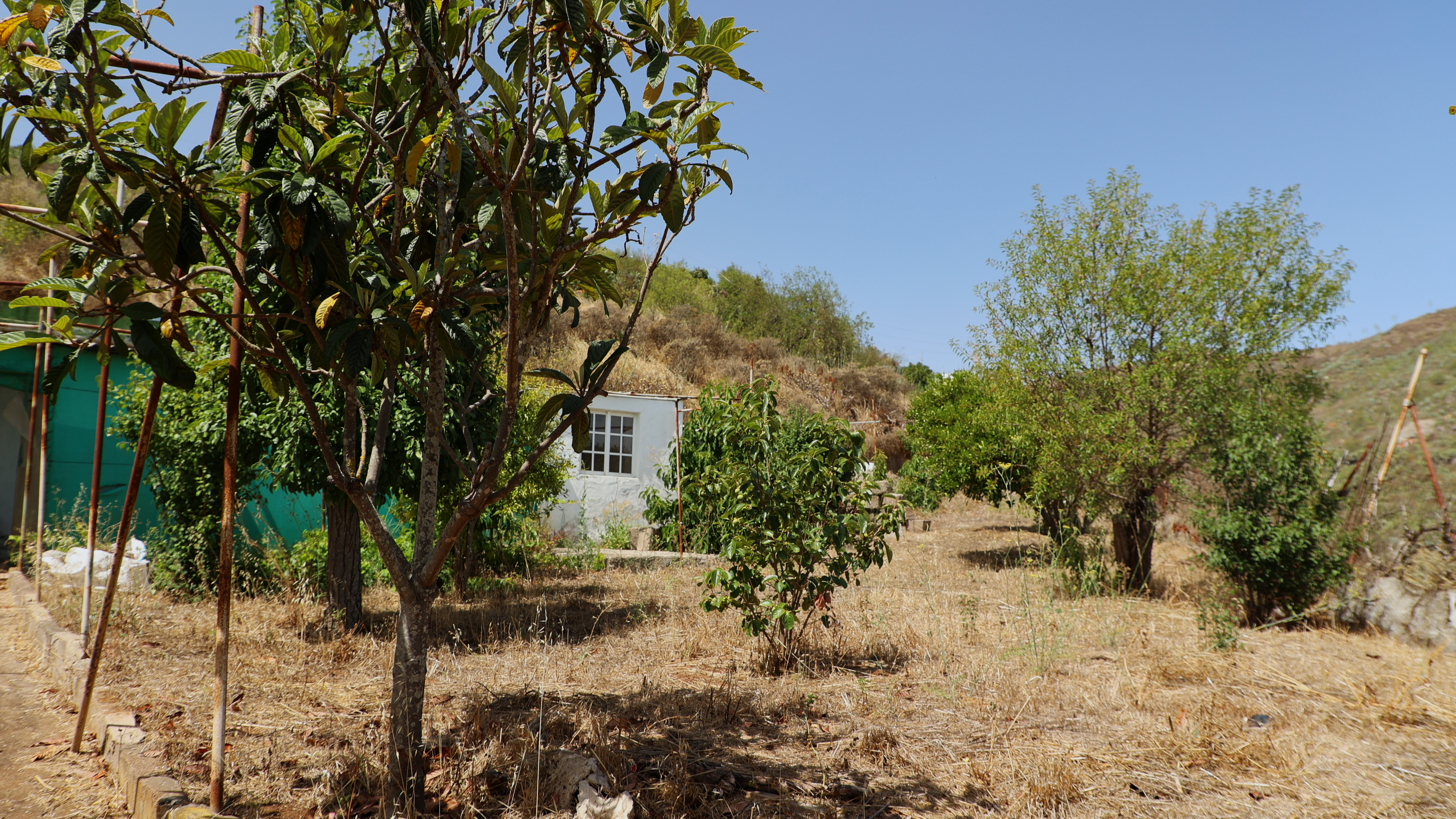 House or chalet for sale in Vega de San Mateo  with Terrace and Storage room