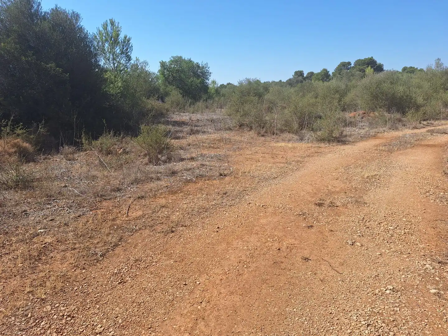 Terreno rustico in vendita a Algaida, imagen 11