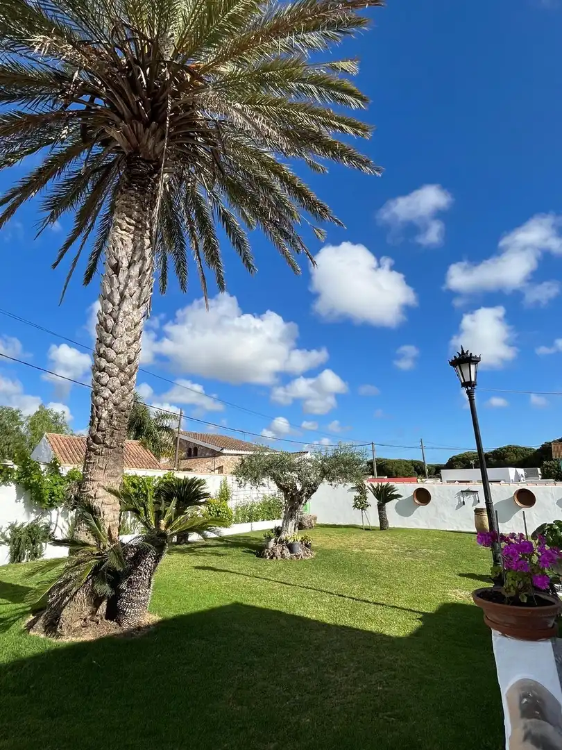 Vista exterior de Casa o xalet en venda en Chiclana de la Frontera amb Jardí privat, Moblat i Piscina comunitària