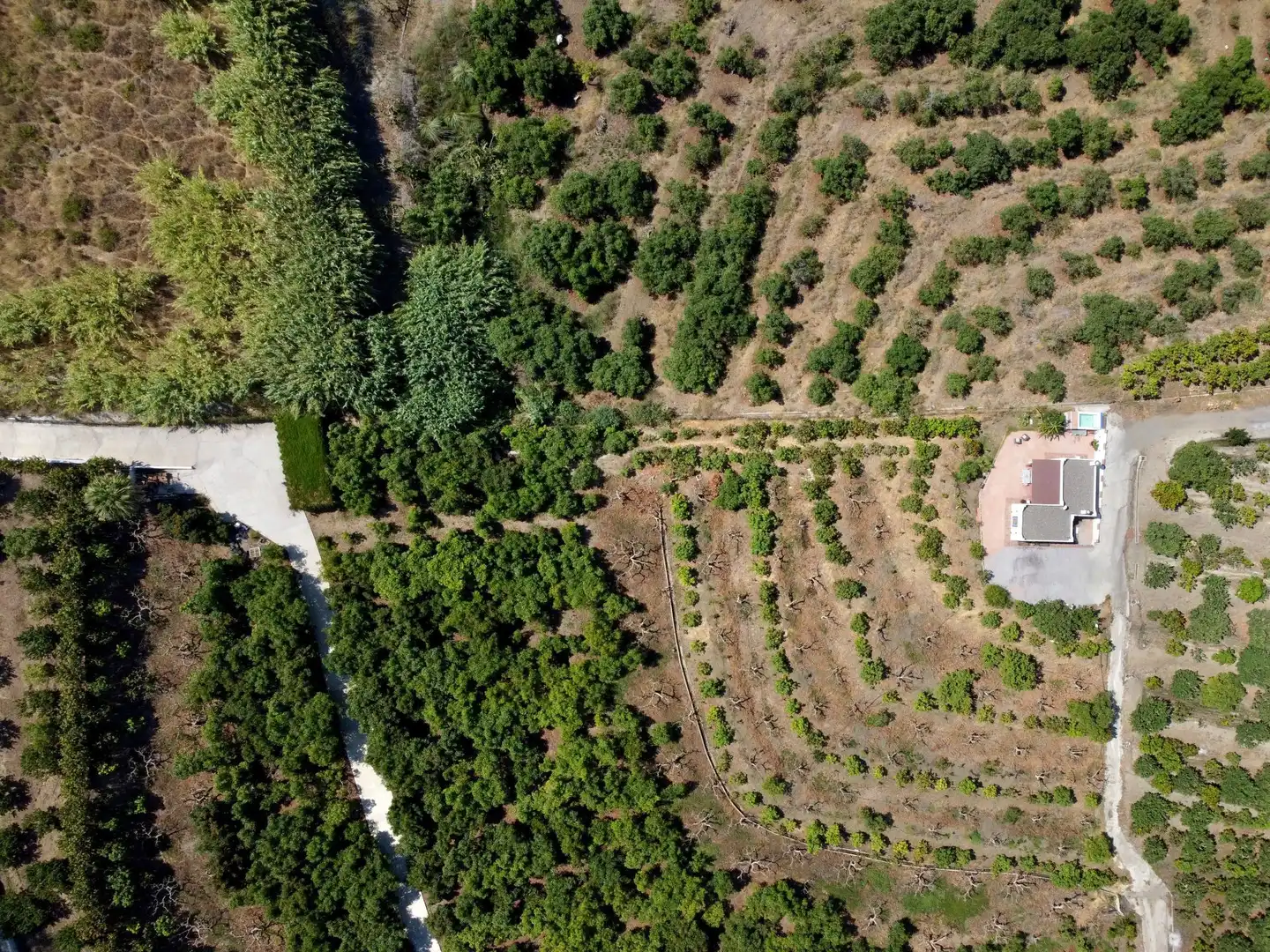 Maison rustique avec piscine à vendre à del serrayo, imagen 6