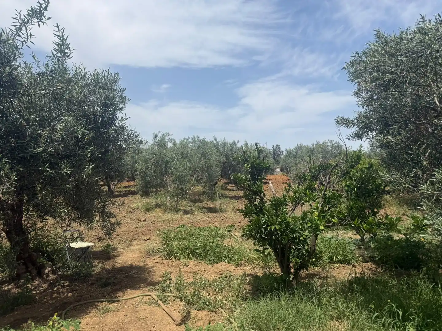Country house zum Verkauf in Utrera mit Privatgarten, Terrasse und Schwimmbad