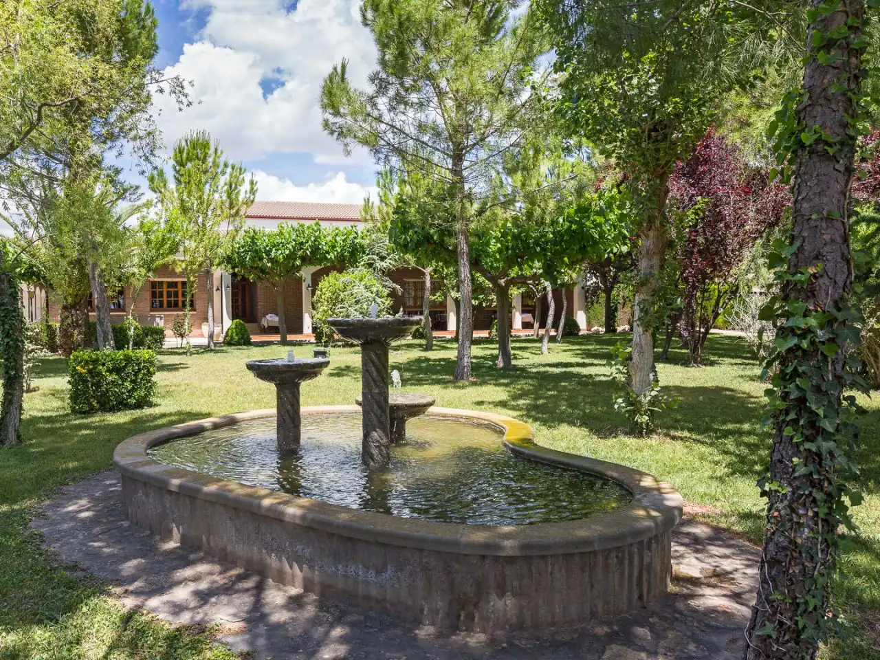 Jardín de Local en venta en Solivella
