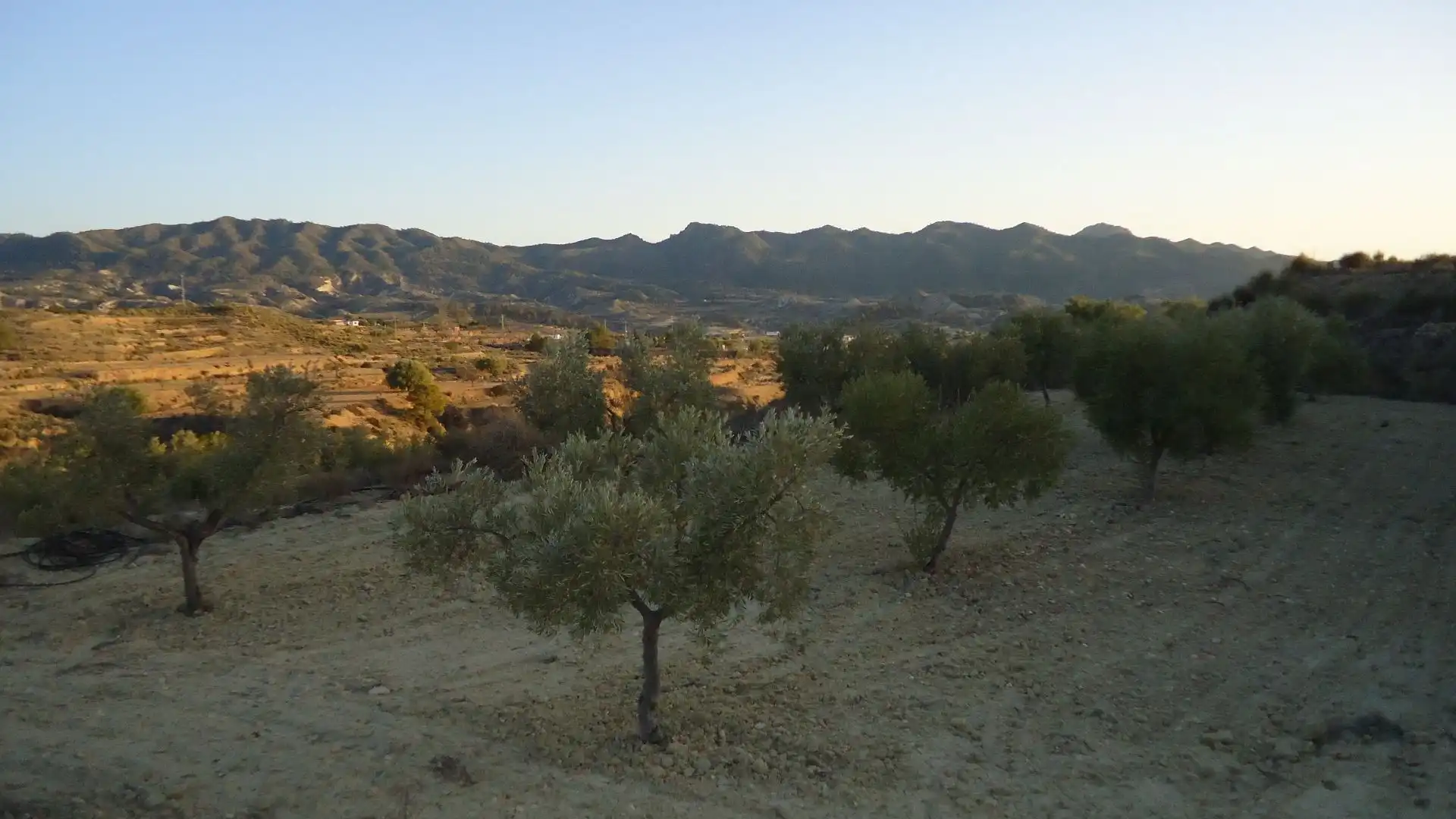 Lands and plots for sale in Abanilla, imagen 6