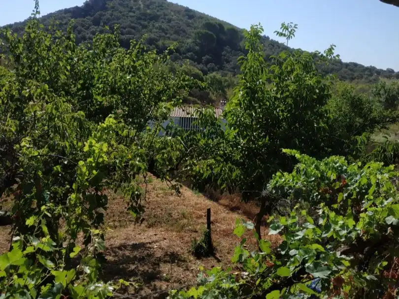 Land for sale in Garbayuela, Badajoz