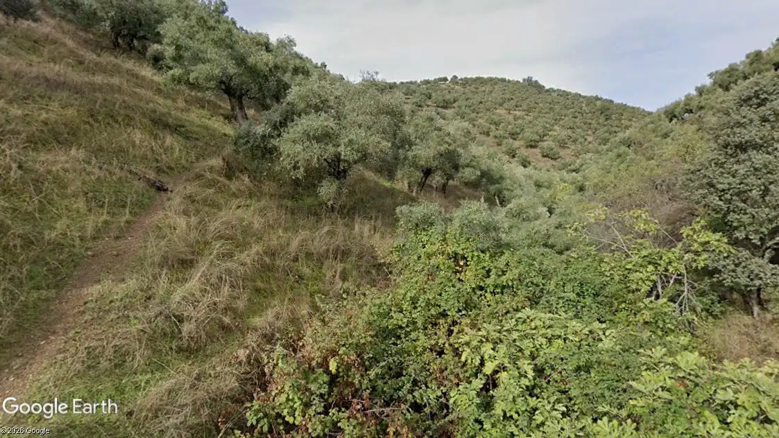 Rustikales Grundstück zum Verkauf in Pozoblanco, imagen 3
