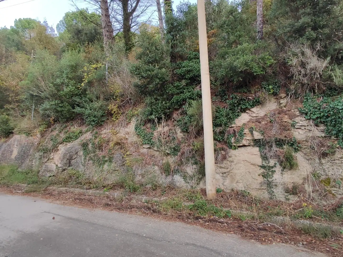 Terrain rustique à vendre à Monistrol de Calders, imagen 31