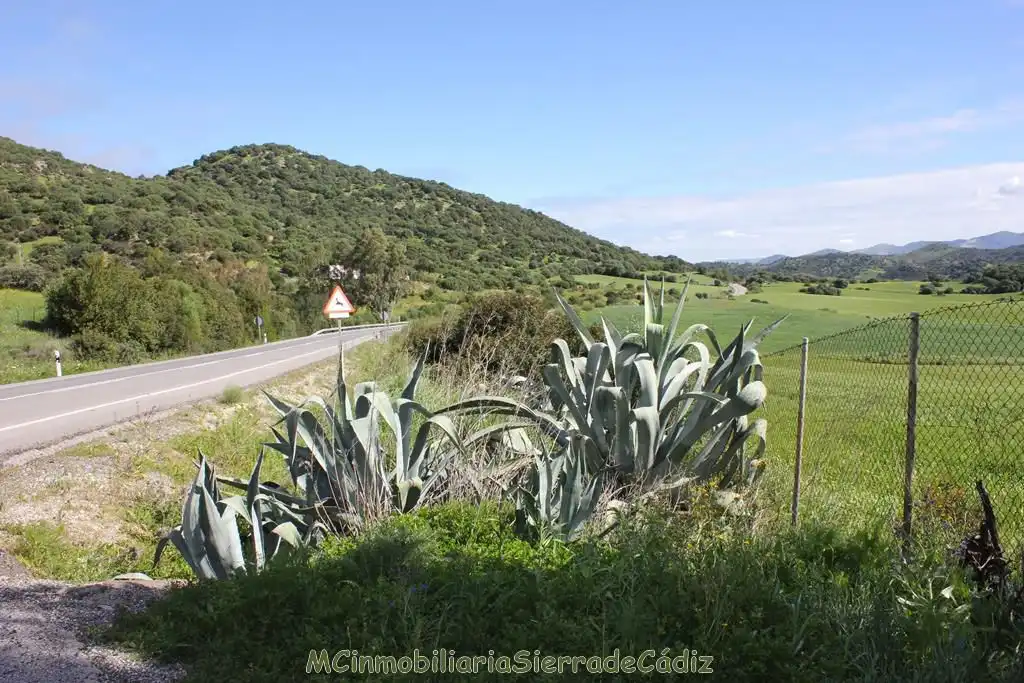 Casa rústica en venda a Algodonales, imagen 48