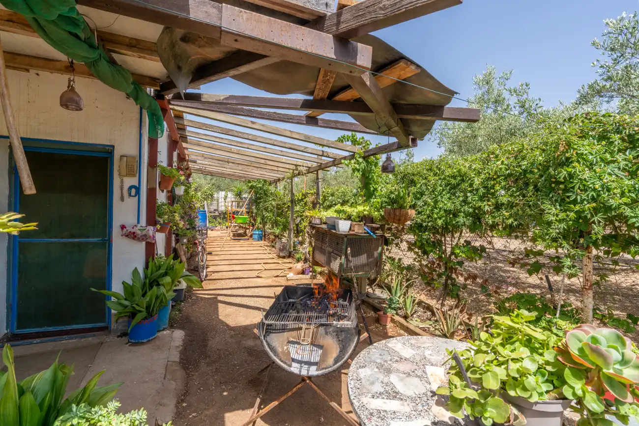 Terreny rústic en venda a Camí Miliana 1, imagen 17