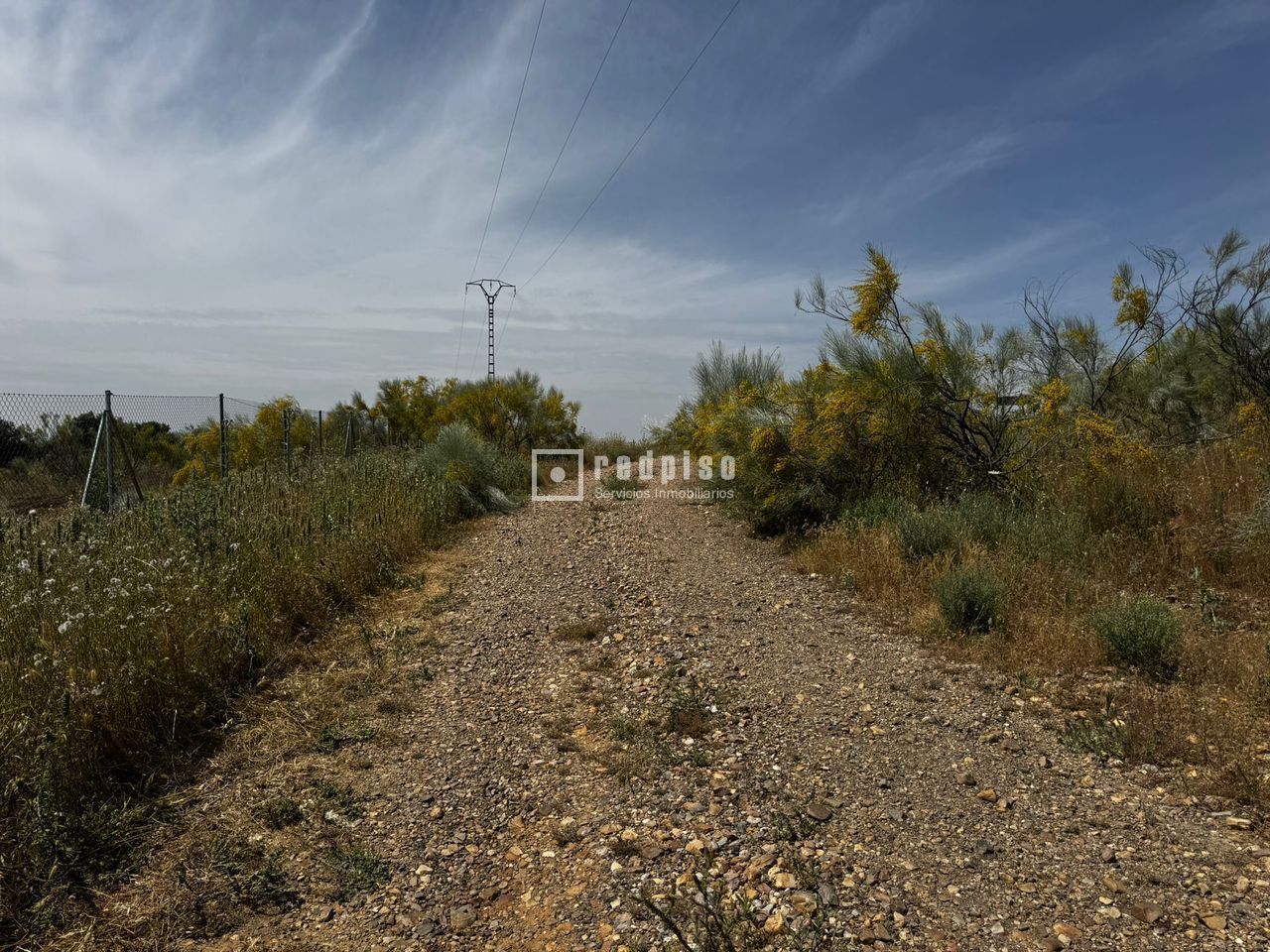 Terreny industrial en venda en Torrejón del Rey