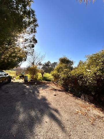 Casa-chalet en Venta en Camí de la Regalèssia, 213A en La Foia - Daimés - Asprella