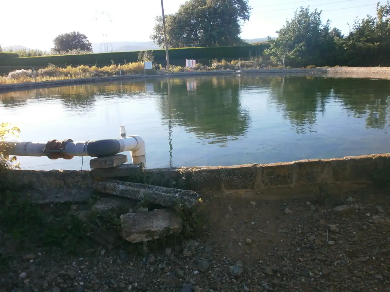 Schwimmbecken von Grundstücke zum Verkauf in Vilallonga del Camp