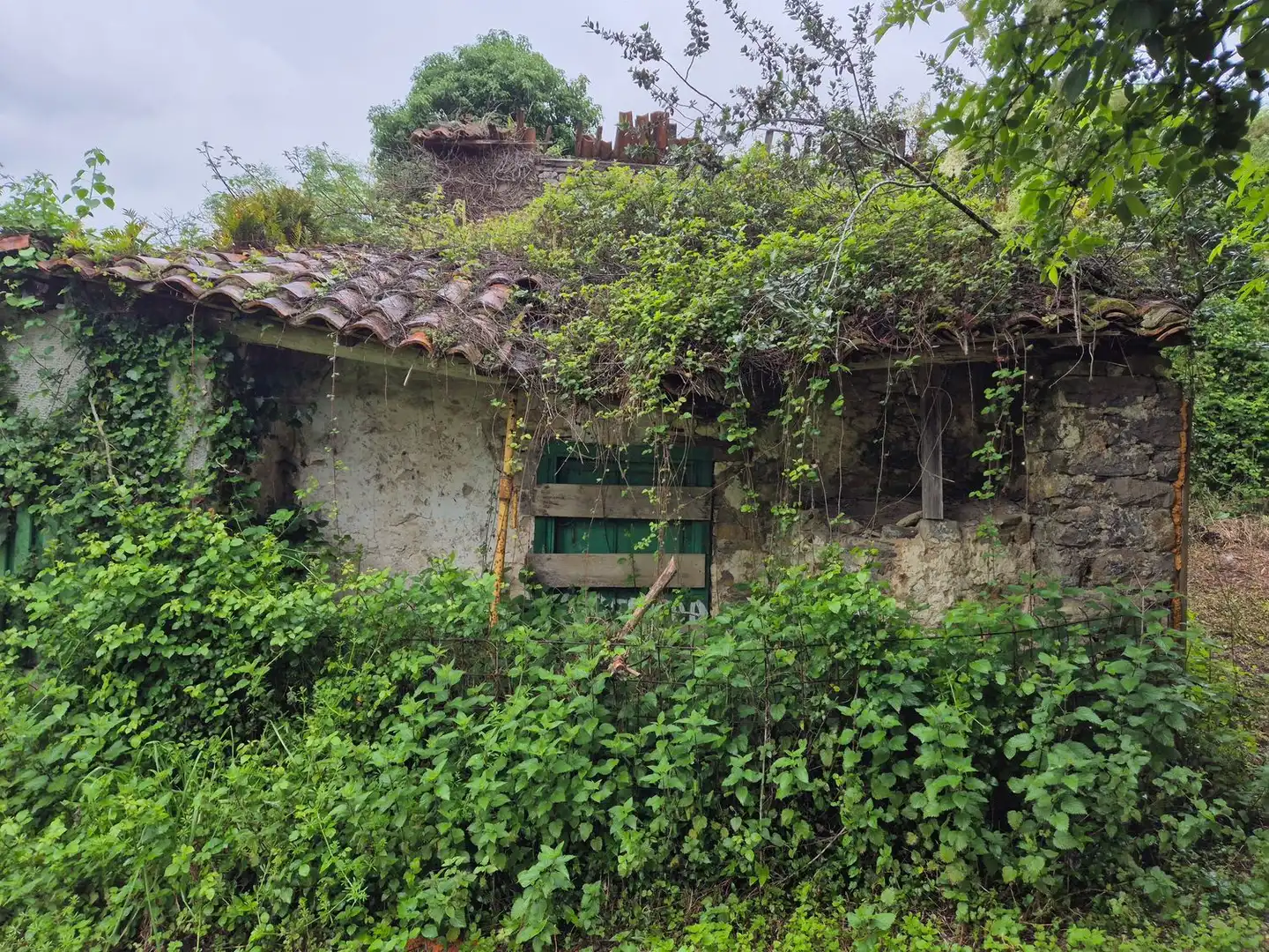 Vista exterior de Casa o xalet en venda en Villaviciosa amb Piscina