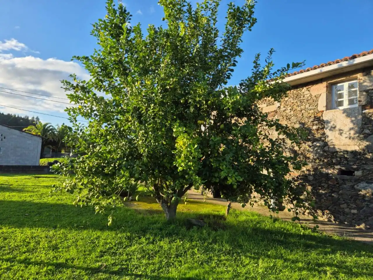 Jardín de Casa o chalet en venta en Oza dos Ríos con Calefacción y Jardín privado