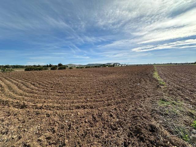 Terreno en Venta en El Palmar