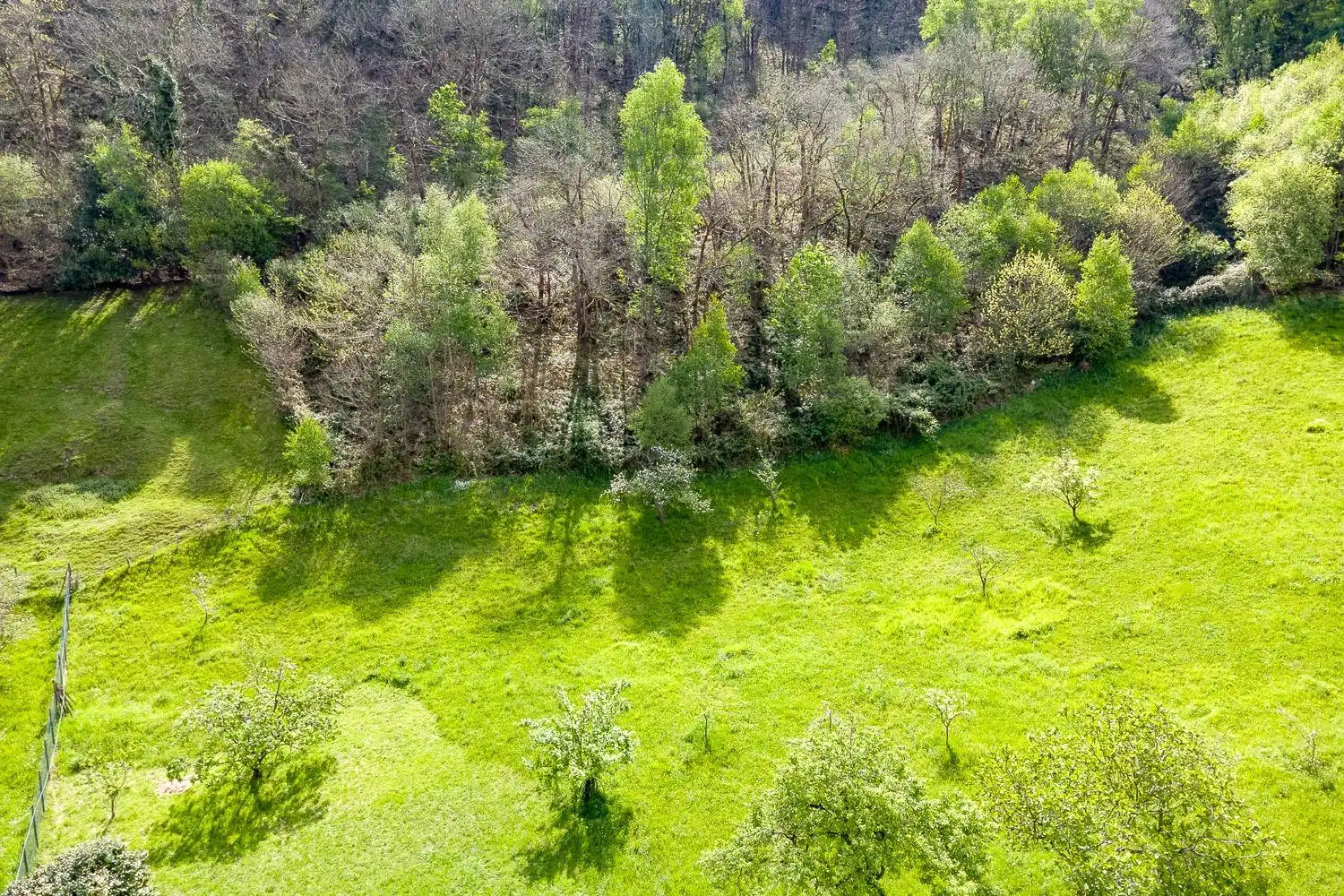 Land for sale in Mieres (Asturias)