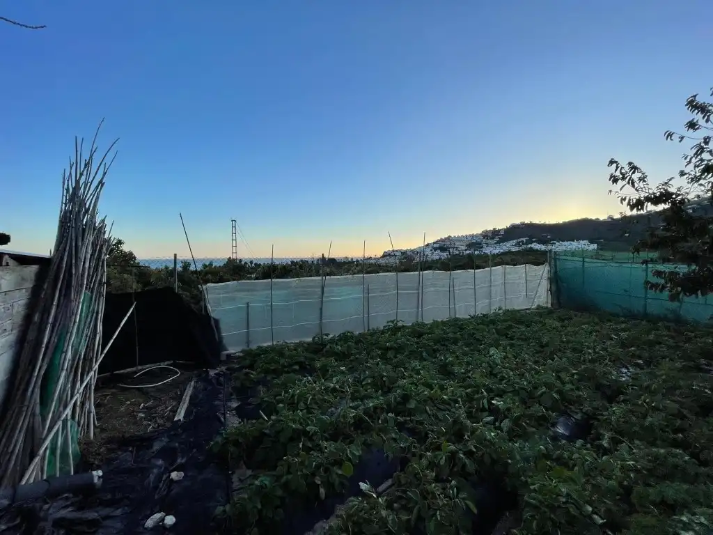 Finca rústica en venta en N/A, Avda Pescia - Ctra de Frigiliana