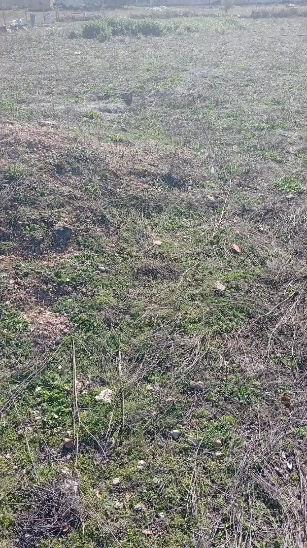 Terreno rustico in vendita a Pedanías - Extrarradio, imagen 8