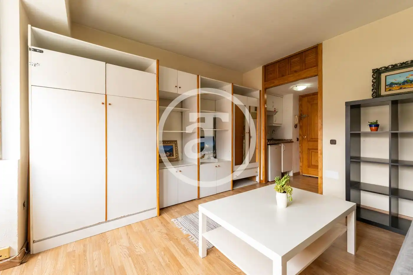 Sala d'estar de Estudi de lloguer en Madrid amb Calefacció, Moblat i Rentadora