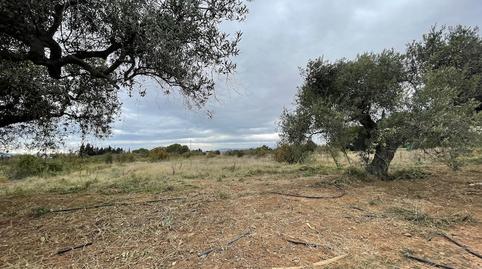 Photo 4 of Residential for sale in 31, Parcela 25, Cambrils Port, Tarragona