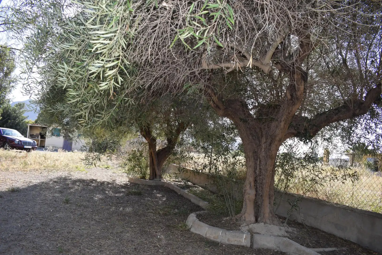 Garden of Houses for sale in Redován  with Air Conditioner, Private garden and Terrace