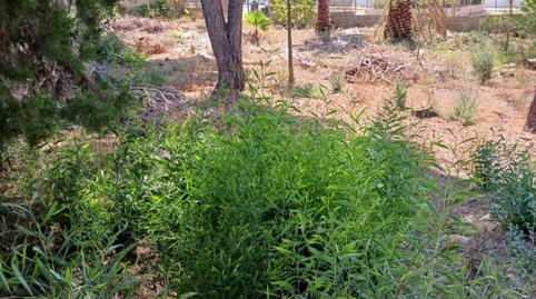 Foto 5 de Residencial en venda a Calle 236, 16, La Cañada, Valencia