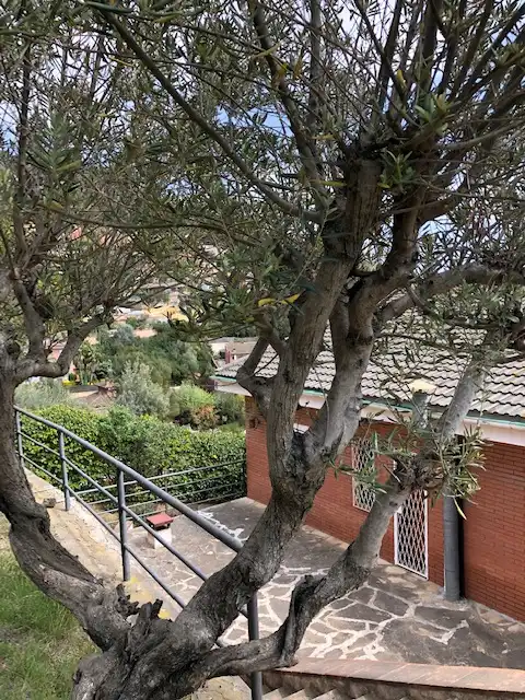 Jardí de Casa o xalet en venda en La Palma de Cervelló amb Aire condicionat, Calefacció i Jardí privat