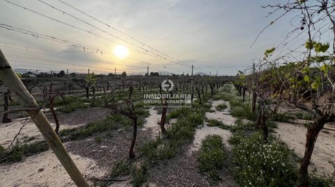 Foto 5 von Grundstücke zum Verkauf in Monforte del Cid, Alicante