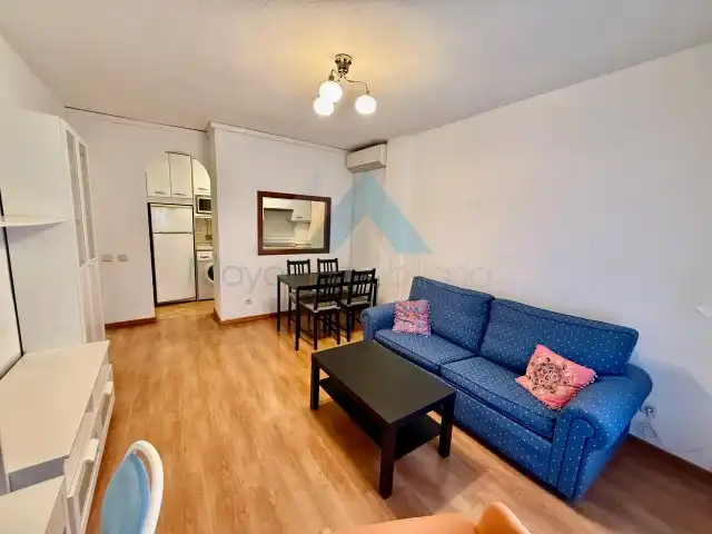 Apartment with terrace to rent in Calle Gallo, imagen 3