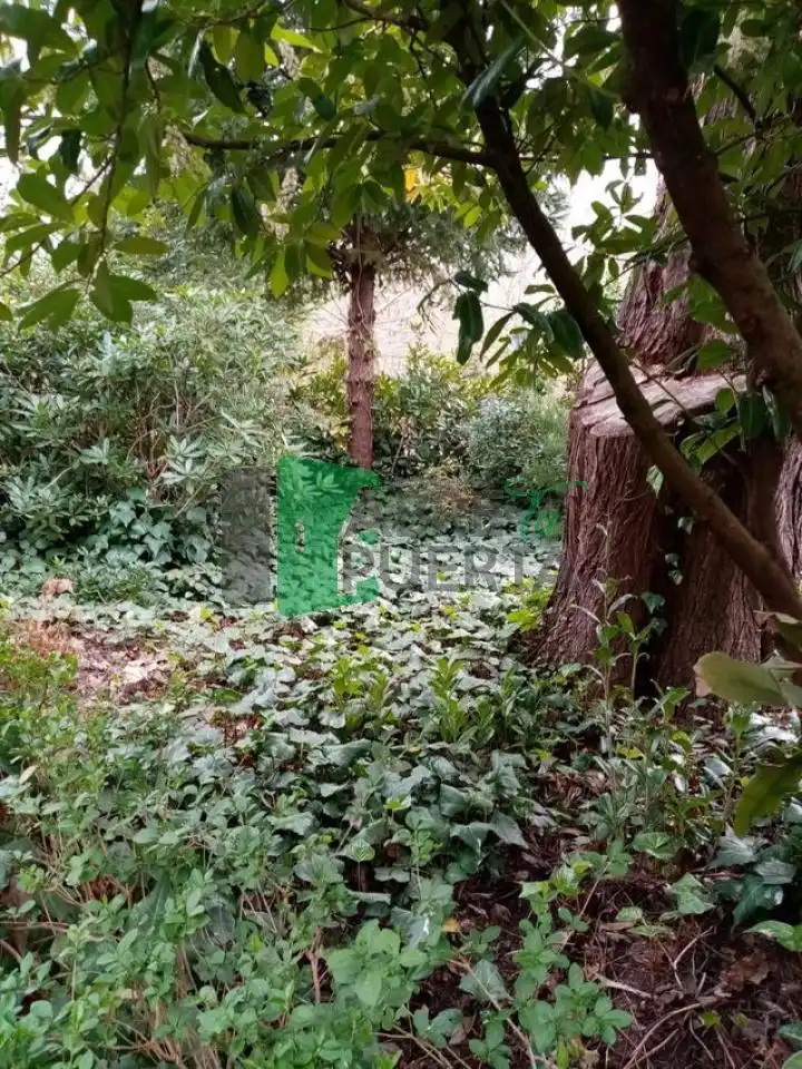 Chalet con jardín en venta en O Carballiño, imagen 18