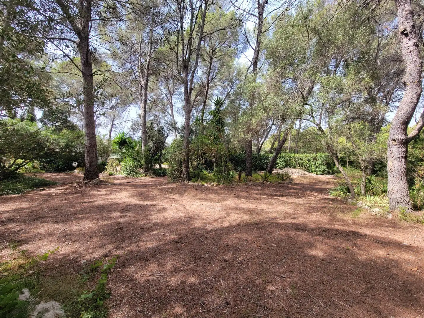 Residential for sale in El Catllar 