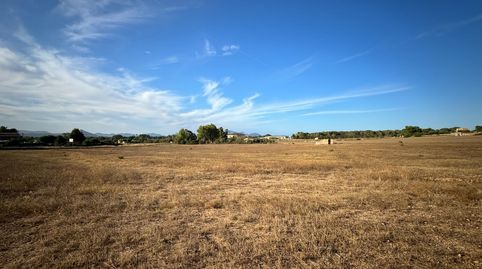 Foto 5 de Finca rústica en venta en Muro, Illes Balears