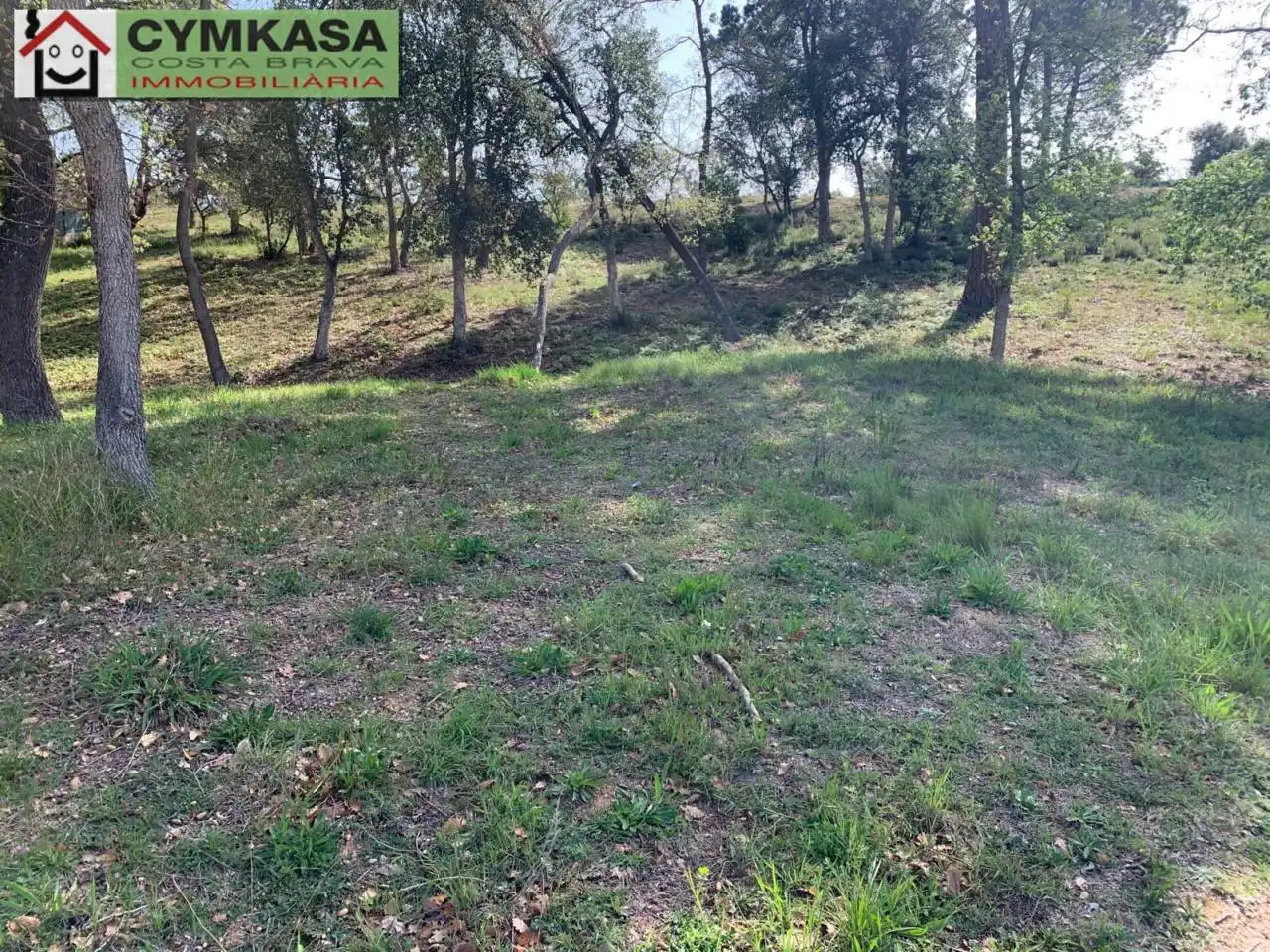 Terreno rústico en venta en Sils, imagen 2