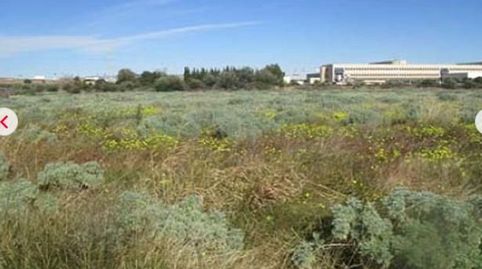 Foto 4 de Terreno en venta en El Pilar, Vila-real