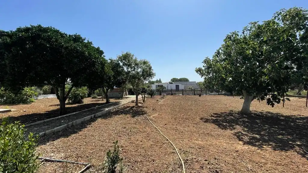 Xalet amb jardí en venda a Pelagatos - Pago del Humo, imagen 3