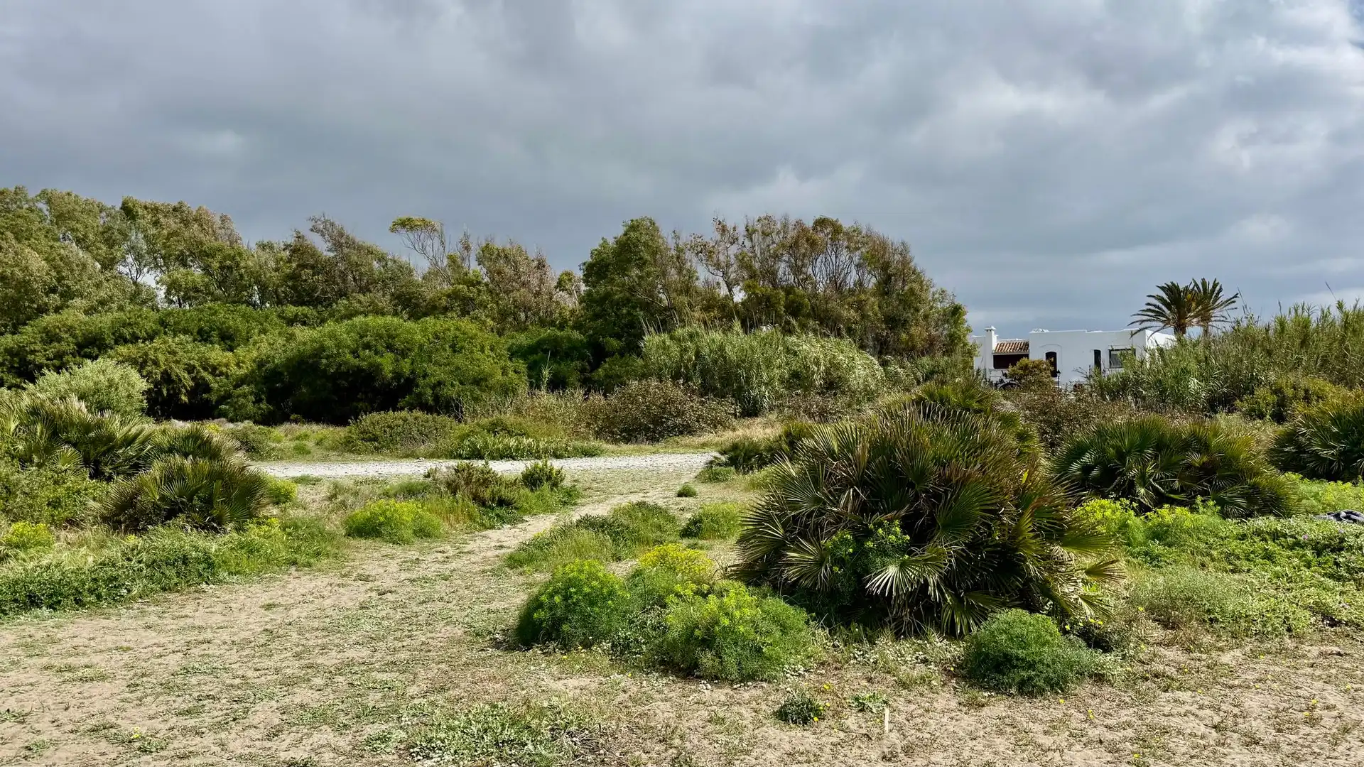 Chalet en venta en Benamara - Atalaya, imagen 43