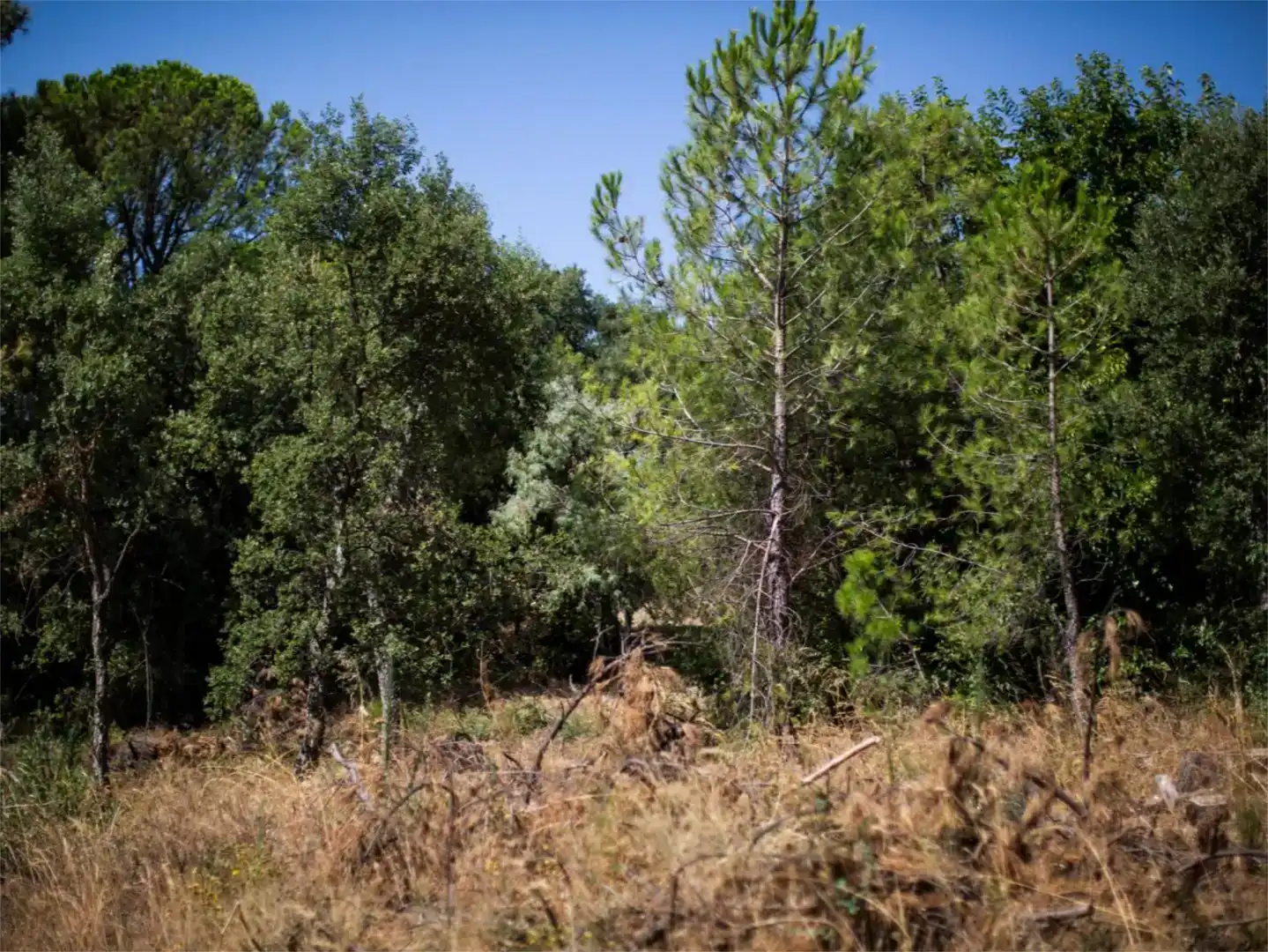 Residencial en venda en Piedralaves