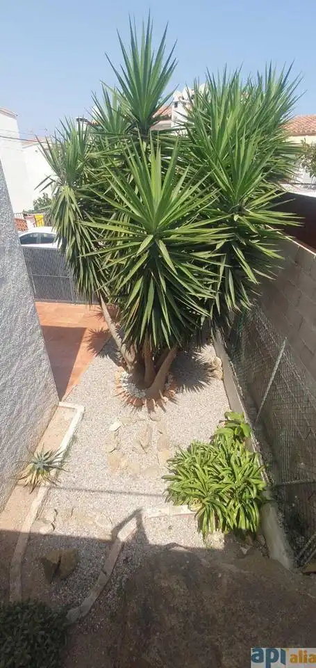 Jardí de Casa o xalet en venda en Roses amb Calefacció, Jardí privat i Terrassa