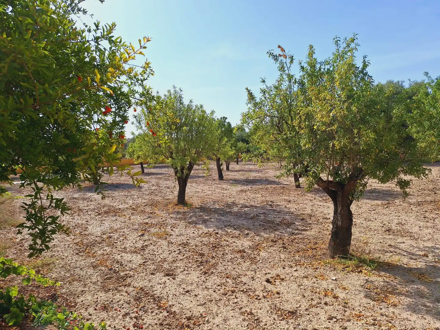 Casa o xalet en venda en Alicante / Alacant amb Jardí privat, Terrassa i Traster